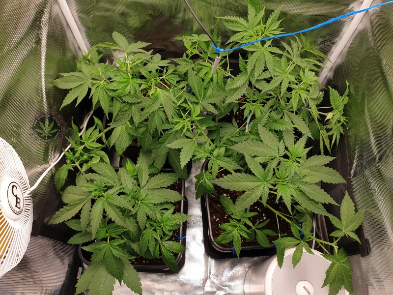 foto_no_exif (22).jpg