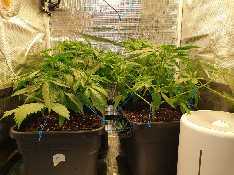 foto_no_exif (23).jpg