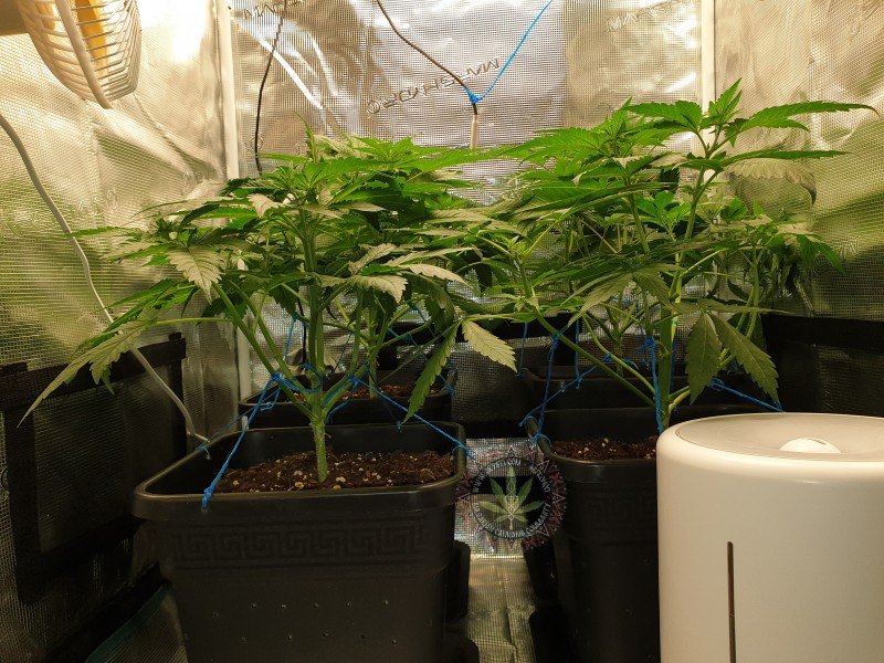 foto_no_exif (1).jpg