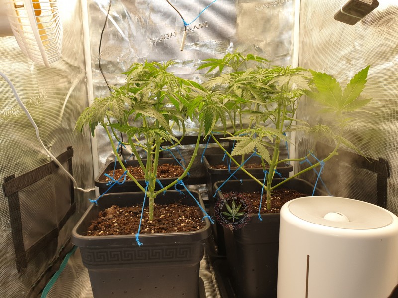 foto_no_exif (1).jpg