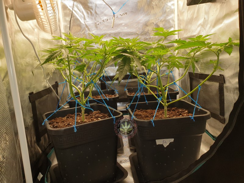 foto_no_exif (1).jpg