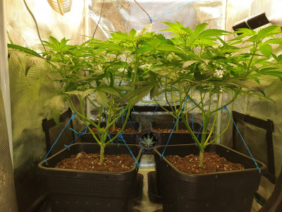 foto_no_exif (2).jpg