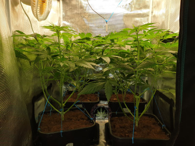 foto_no_exif (1).jpg