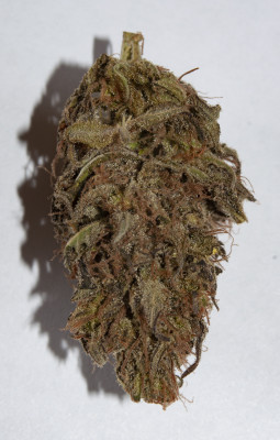 Blue Dream лилаво