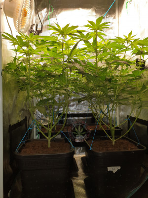 foto_no_exif (4).jpg