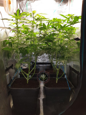 foto_no_exif (1).jpg