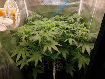 foto_no_exif (2).jpg