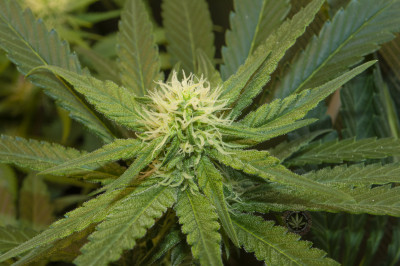 foto_no_exif (3).jpg