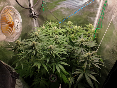 foto_no_exif (1).jpg