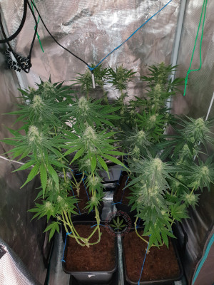 foto_no_exif (1).jpg