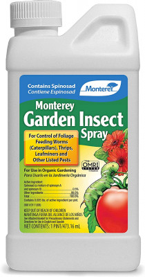 thrips control.jpeg