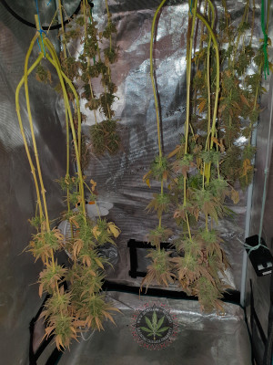 foto_no_exif (7).jpg