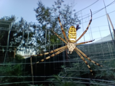 foto_no_exif (1).jpg