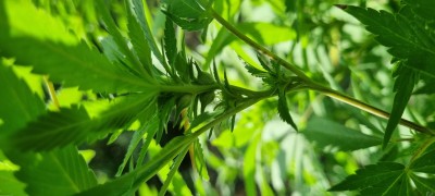 foto_no_exif (3).jpg