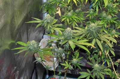 foto_no_exif (5).jpg