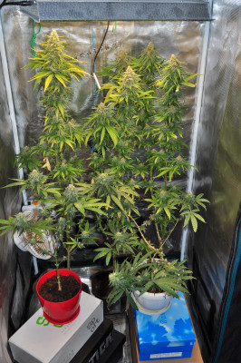 foto_no_exif (6).jpg