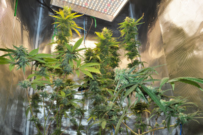 foto_no_exif (7).jpg