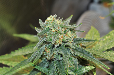 foto_no_exif (3).jpg