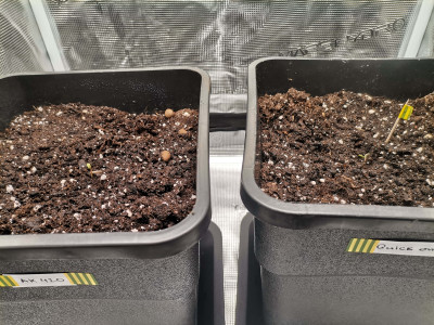 foto_no_exif (1)-min.jpg