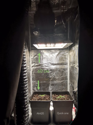 foto_no_exif (3).jpg