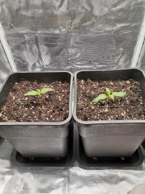 foto_no_exif (2).jpg