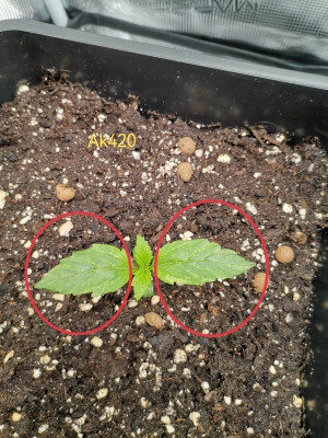 foto_no_exif (1).jpg