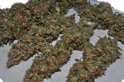 foto_no_exif (1).jpg