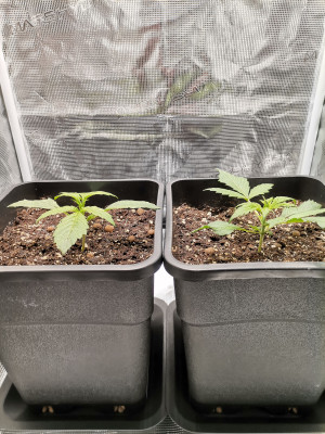 foto_no_exif (4).jpg