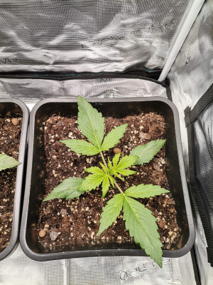 foto_no_exif (2).jpg