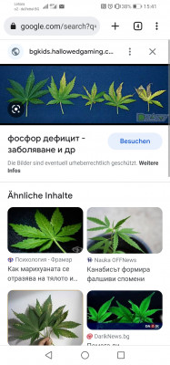 Screenshot_20221007_154154_com.android.chrome.jpg