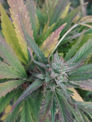 IMG_20221017_182953-min.jpg