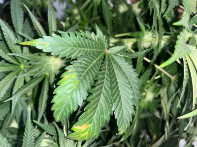7998D486-E9EB-4A0F-95A0-BE8CABC7F653.jpeg