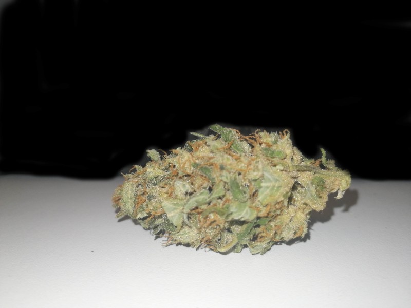 759876_fast-buds-tangie-039-maticfastbudstangiematic-min.jpg