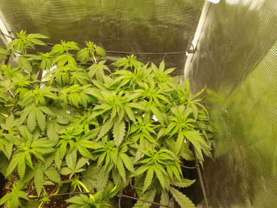 20230130_183335.jpg