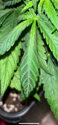 3B2C55D5-0946-44DC-B761-BD8555E1B191.png
