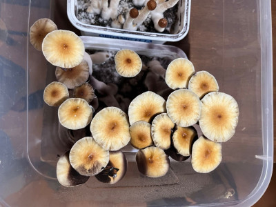 66792A23-33EE-4AB7-B00D-AA92C2050178.jpeg
