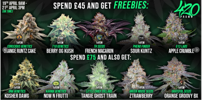 420.png