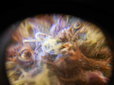 foto_no_exif(2)-min.jpg