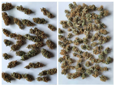 20230512_200258-COLLAGE.jpg (138.19 KiB) Преглеждано 1059 пъти Afghan Kush