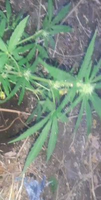VideoCapture_20230731-231325.jpg
