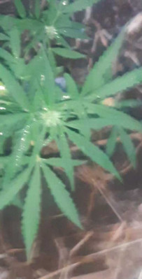 VideoCapture_20230731-231300.jpg