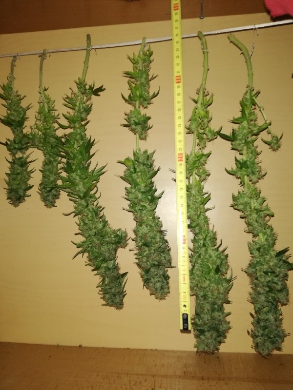 foto_no_exif (5).jpg