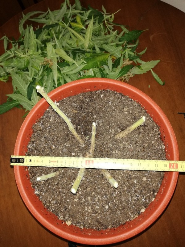 foto_no_exif (6).jpg