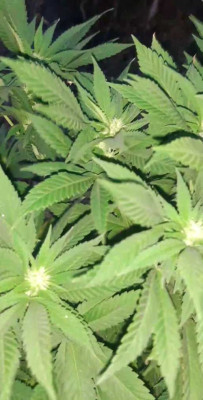 VideoCapture_20230829-203830.jpg