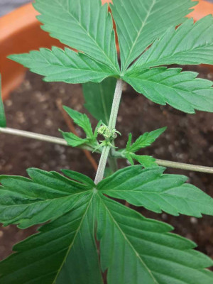 foto_no_exif (1).jpg