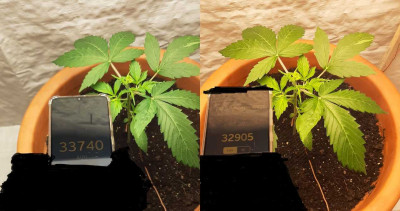 foto_no_exif (1).jpg