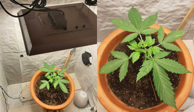 foto_no_exif (1).jpg