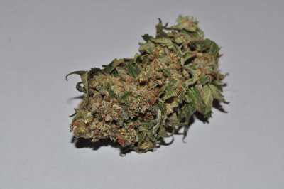 Green Crack.jpg (63.94 KiB) Преглеждано 2061 пъти Менте Green Crack