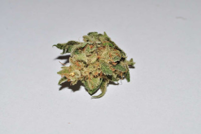 Critical Sour Diesel.jpg (46.35 KiB) Преглеждано 2065 пъти Critical Sour Diesel