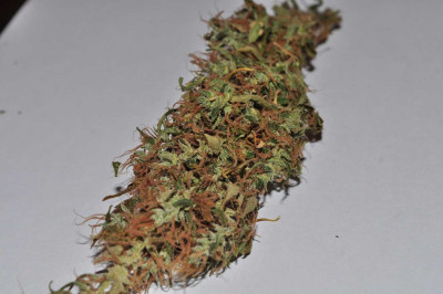 Arjan.jpg (70.38 KiB) Преглеждано 2063 пъти Arjan's Ultra Haze #3
